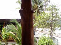 PB170131